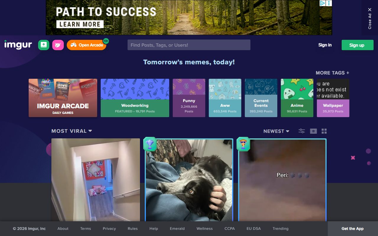Tampa 72 hour booking records search portal
